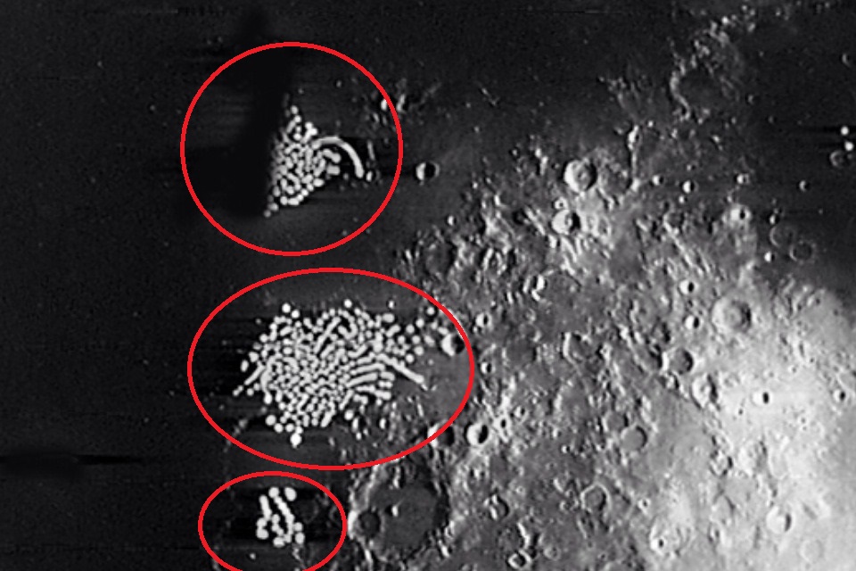 UFO101037.jpg